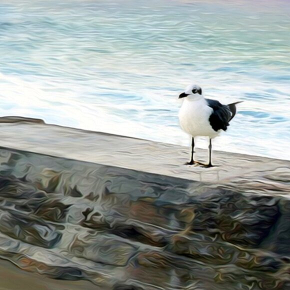 12x18 Penguin‎ Fantasy Ocean Landscape Watercolor Oil Painting Art Print - Picture 5 of 7